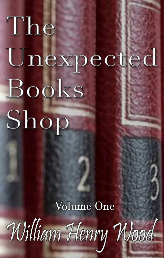 unpredictable book shop cover